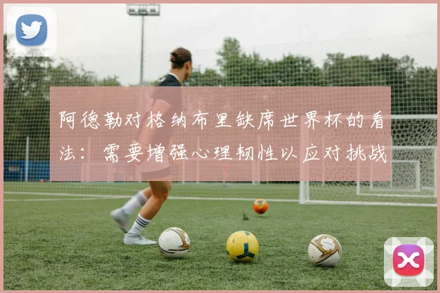 阿德勒对格纳布里缺席世界杯的看法：需要增强心理韧性以应对挑战