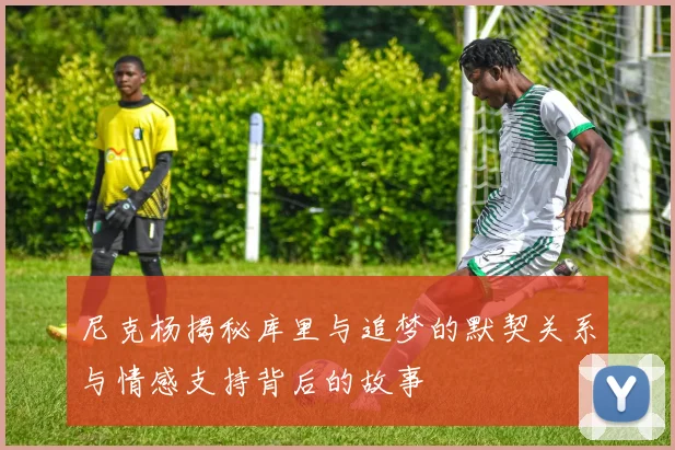 尼克杨揭秘库里与追梦的默契关系与情感支持背后的故事