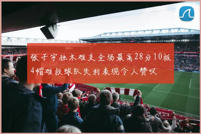 张子宇独木难支全场最高28分10板4帽难救球队失利表现令人赞叹